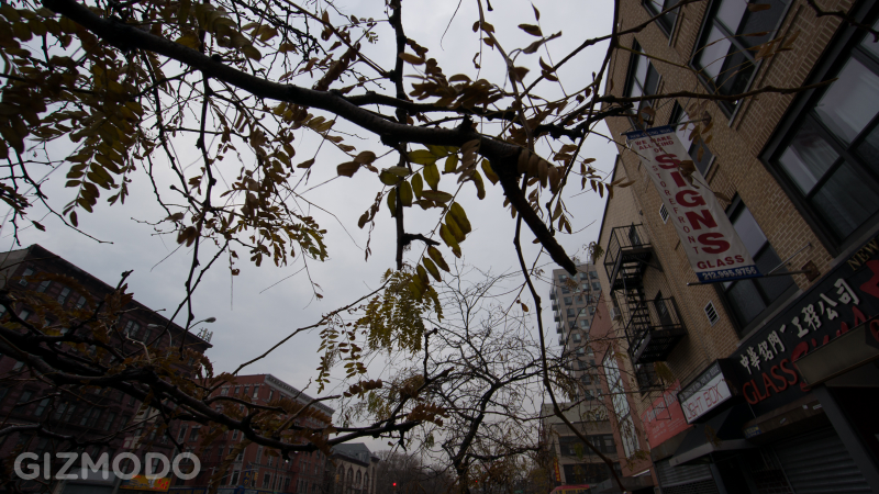 Illustration for article titled Sony NEX-6 Gallery: Sample Images